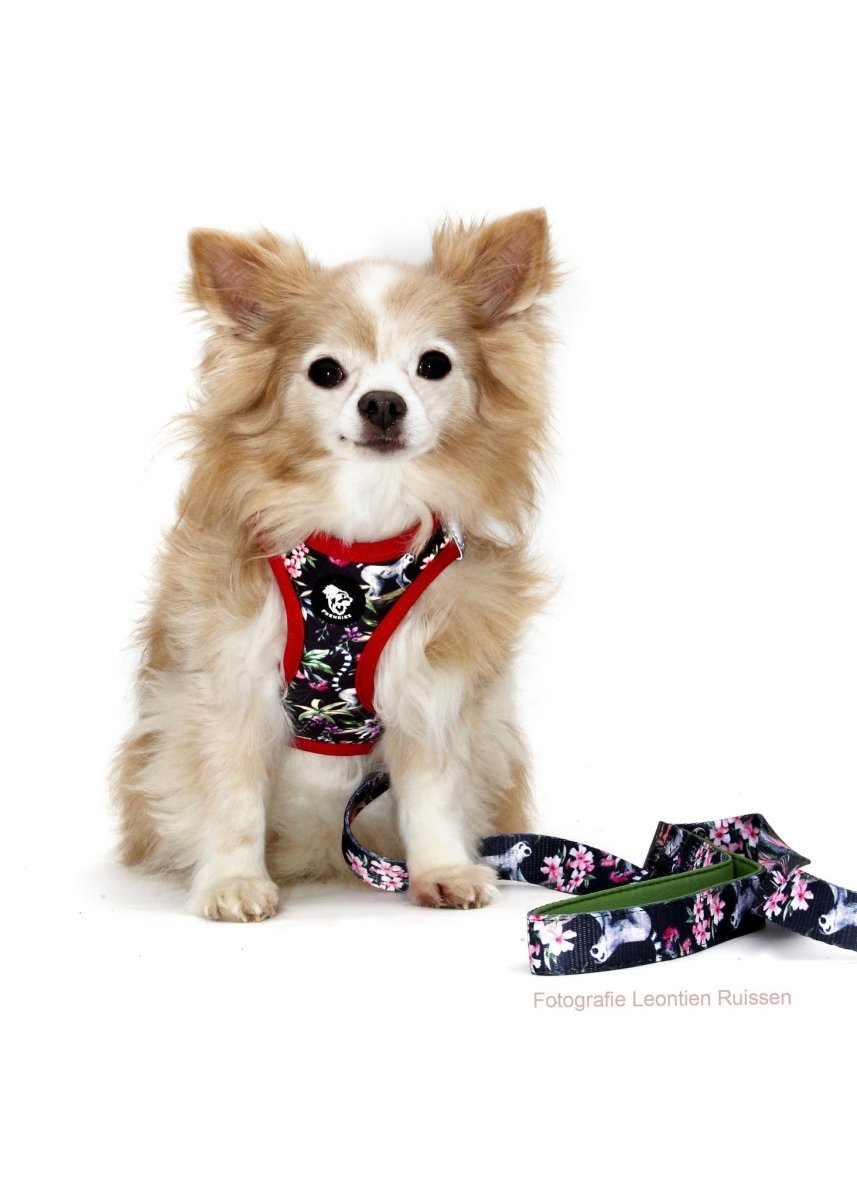 Frenkiez Step In Harness Maki Flower hondentuig > honden harnas > model B X - Small