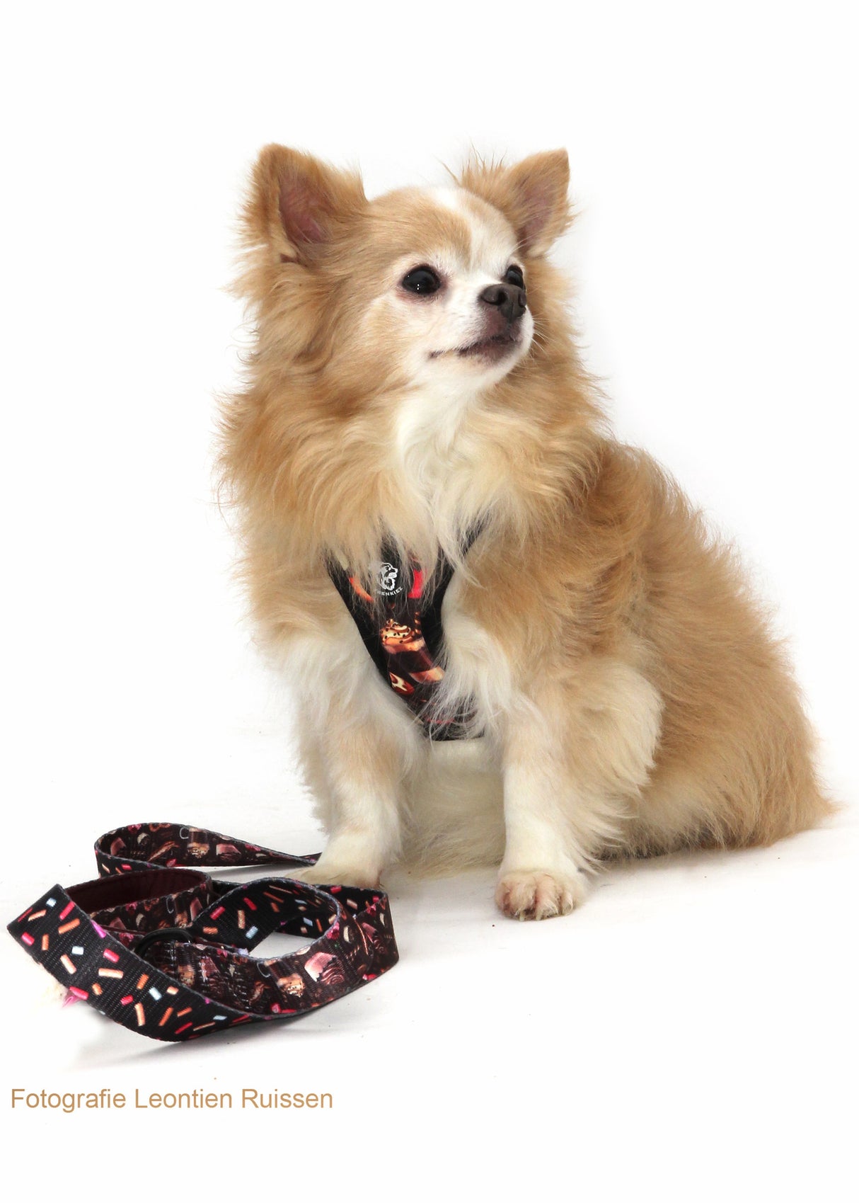 Frenkiez Step In Harness Coffee Sprinkles - Premium hondentuig > honden harnas from Frenkiez - Just €10! Shop now at Frenkiezdogshop