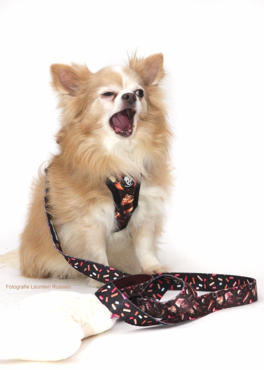 Frenkiez Step In Harness Coffee Sprinkles hondentuig > honden harnas > model B X - Small