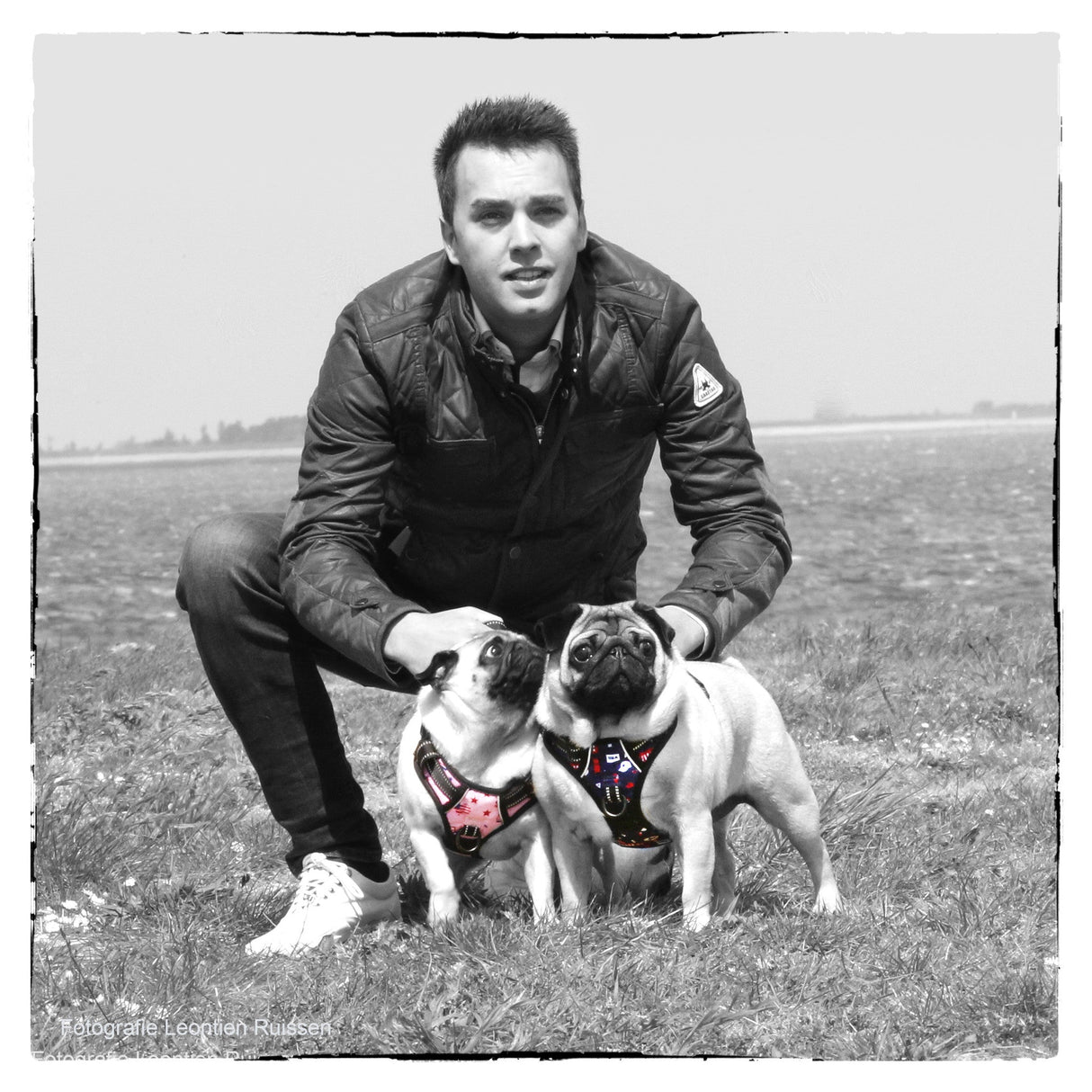 Frenkiez reflective no pull lockable dog harness printing pink XL - Premium hondentuig > honden harnas from Frenkiez - Just €10! Shop now at Frenkiezdogshop