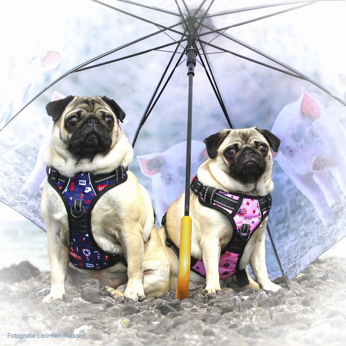 Frenkiez reflective no pull lockable dog harness printing pink XL - Premium hondentuig > honden harnas from Frenkiez - Just €10! Shop now at Frenkiezdogshop