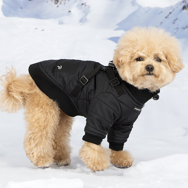 Puppia Stratus Jacket Harness Black - Premium Hondenkleding > hondenjas from Puppia - Just €69.99! Shop now at Frenkiezdogshop