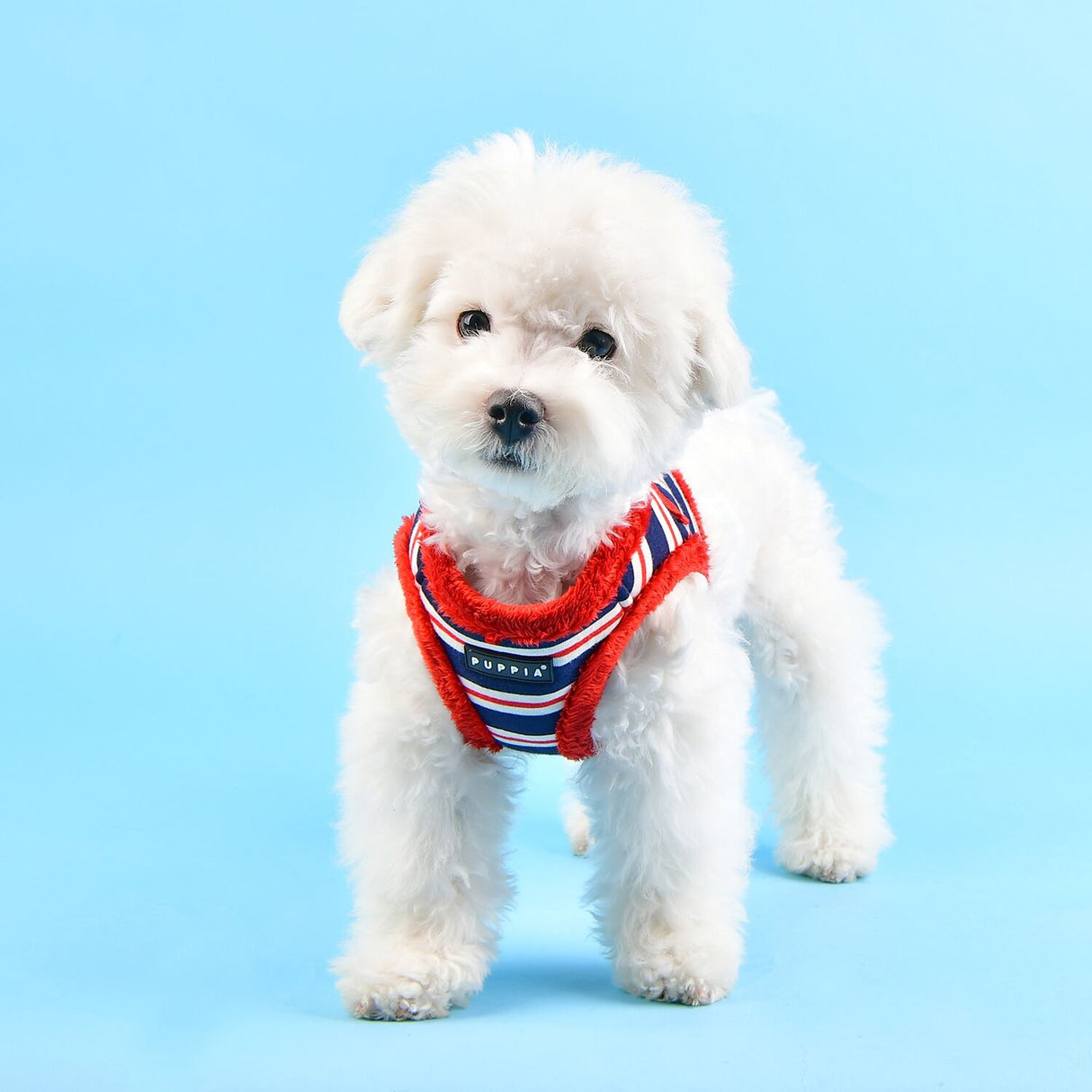 Puppia Harness B Rowdy Red - Premium hondentuig > honden harnas from Puppia - Just €20! Shop now at Frenkiezdogshop