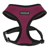 Puppia Soft Harness model A purple - Premium hondentuig > honden harnas from Puppia - Just €18.99! Shop now at Frenkiezdogshop