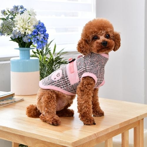 Pinkaholic Da Vinci Jacket Harness Indian Pink ( S & XL ) - Premium Hondenkleding > hondenjas from Pinkaholic - Just €69.99! Shop now at Frenkiezdogshop