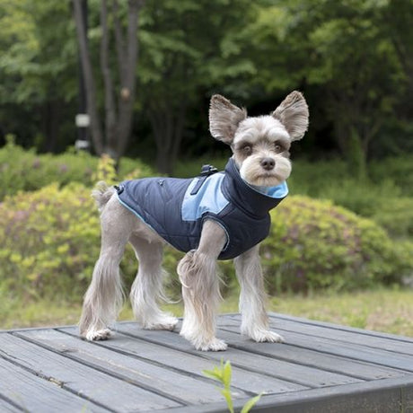 Pinkaholic Tintin Jacket Harness Navy Hondenkleding > hondenjas Small