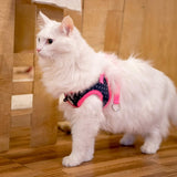 Catspia Cora Harness model Q Pink - Premium Kattentuig > kattenharnas from Catspia - Just €23.99! Shop now at Frenkiezdogshop