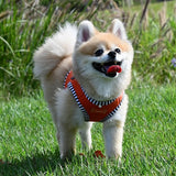 Puppia Naunet Harness Model A Orange ( X-LARGE ) - Premium hondentuig > honden harnas from Puppia - Just €23.99! Shop now at Frenkiezdogshop