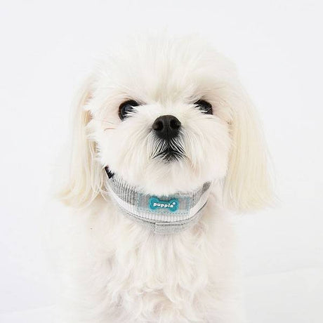 Puppia Oceane halsband grey ( Medium) halsband > hondenhalsband Small