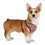 Puppia Neil Harness Wine model A ( LARGE ) - Premium hondentuig > honden harnas from Puppia - Just €24.99! Shop now at Frenkiezdogshop