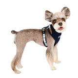 Puppia Neil Superior Harness model A navy - Premium hondentuig > honden harnas from Puppia - Just €24.99! Shop now at Frenkiezdogshop