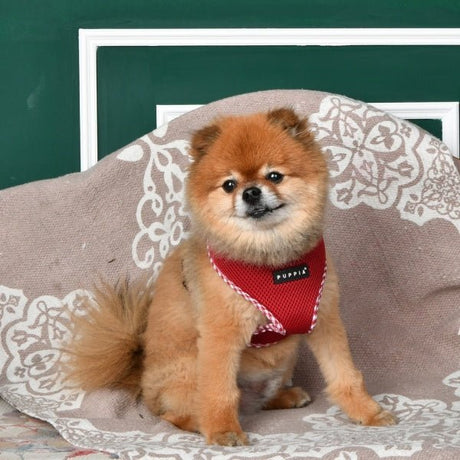 Puppia Vivien Check Harness model A wine hondentuig > honden harnas > model A X - Small