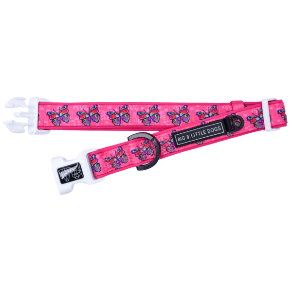 Big and Little Dogs Halsband Flutterly Fab - Premium halsband > hondenhalsband from Big and Little Dogs - Just €17.99! Shop now at Frenkiezdogshop