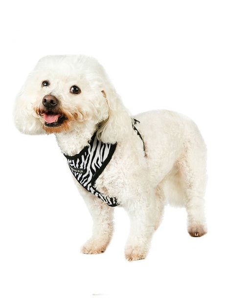 Urban Pup Zebra Print Harness hondentuig > honden harnas > model A XX - Small