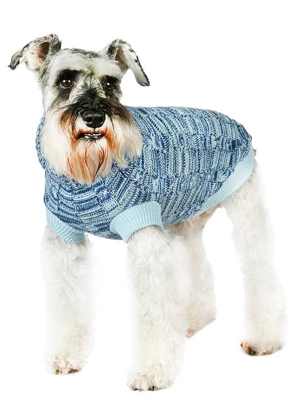 Urban Pup Blue Waffle Textured Knitted Sweater - Premium Hondenkleding > Hondentrui from Urban Pup - Just €24.99! Shop now at Frenkiezdogshop