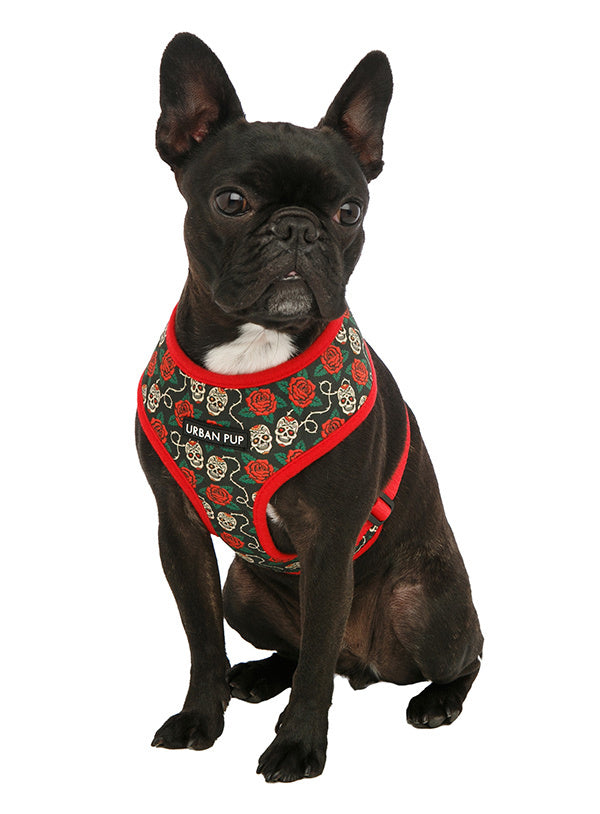 Urban Pup Skulls & Roses Harness - Premium hondentuig > honden harnas from Urban Pup - Just €23.99! Shop now at Frenkiezdogshop