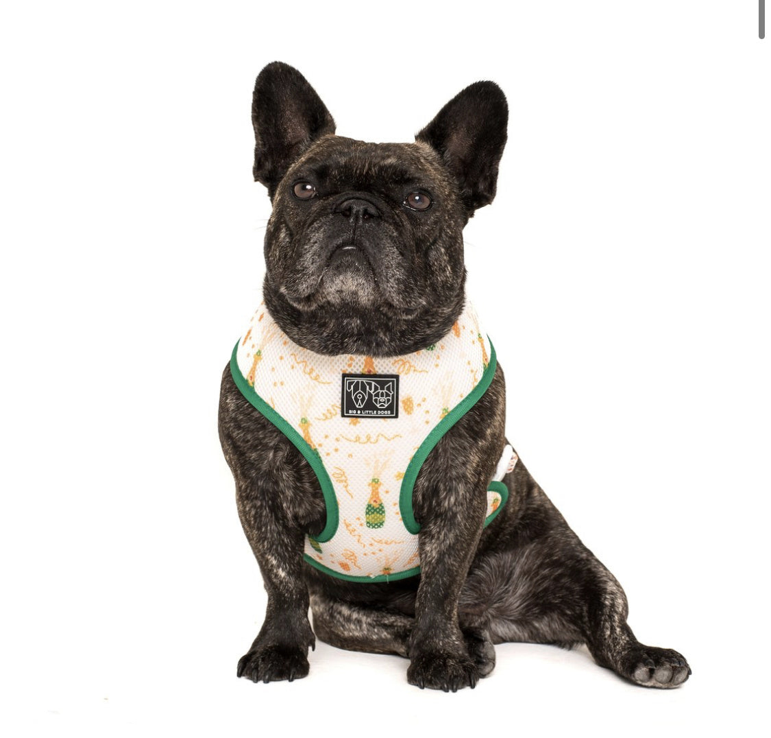 Big and Little Dogs Reversible Harness Silly Season ( XS, S & M ) - Premium hondentuig > honden harnas from Big and Little Dogs - Just €27.99! Shop now at Frenkiezdogshop