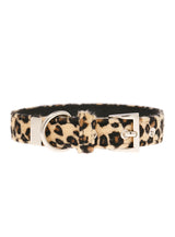 Urban Pup Collar Leopard 