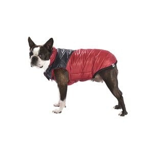 Bobby Winterjas Groove Rood ( ALLEEN SMALL ) - Premium Hondenkleding > hondenjas from Bobby - Just €39.99! Shop now at Frenkiezdogshop