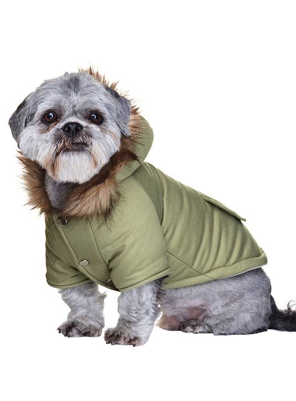 Urban Pup Mod Fishtail Parka - Premium Hondenkleding > hondenjas from Urban Pup - Just €36.99! Shop now at Frenkiezdogshop