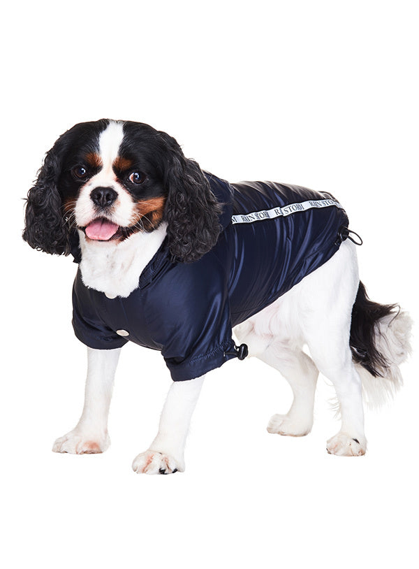 Urban Pup Ink Blue Rainstorm Rain Coat - Premium Hondenkleding > hondenjas from Urban Pup - Just €29.99! Shop now at Frenkiezdogshop