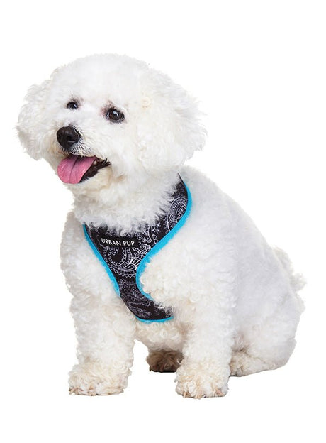 Urban Pup Black & Blue Paisley Harness hondentuig > honden harnas > model A XX - Small