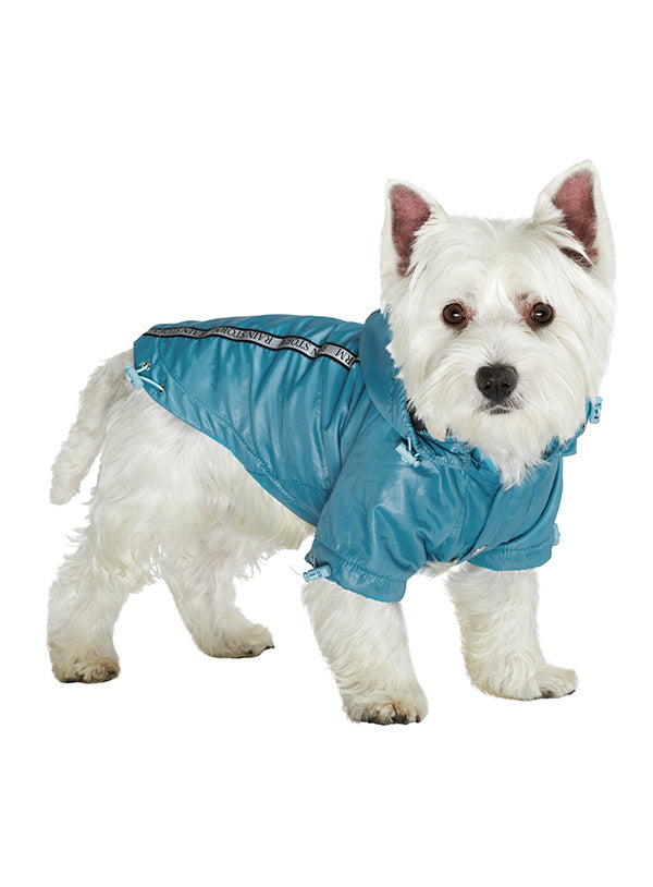 Urban Pup Teal Blue Rainstorm Rain Coat - Premium Hondenkleding > hondenjas from Urban Pup - Just €29.99! Shop now at Frenkiezdogshop