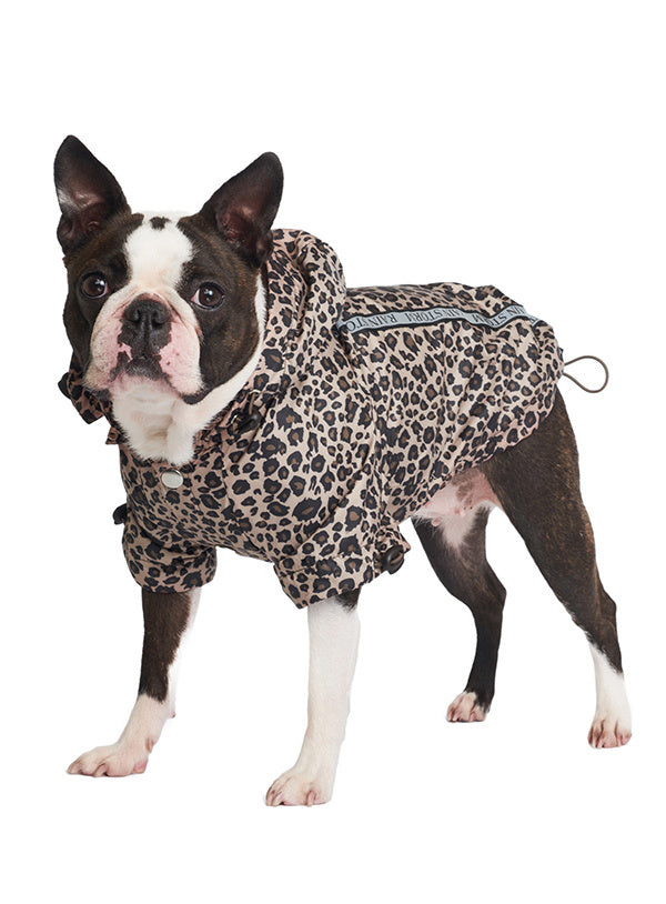 Urban Pup Rainstorm Rain Coat leopard print - Premium Hondenkleding > hondenjas from Urban Pup - Just €29.99! Shop now at Frenkiezdogshop