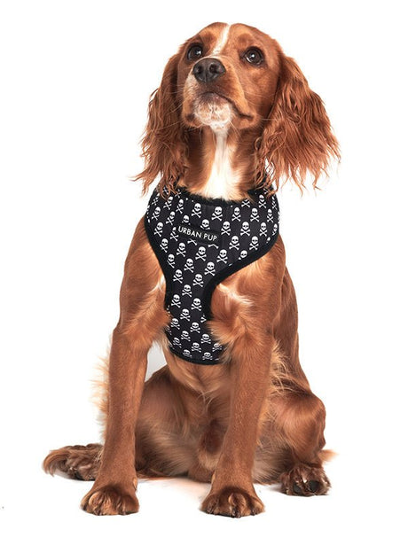 Urban Pup Skulls & Crossbones Harness hondentuig > honden harnas > model A XX - Small