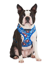 Urban Pup Hero Star Bandana - Premium Hondenkleding > bandana from Urban Pup - Just €14.99! Shop now at Frenkiezdogshop