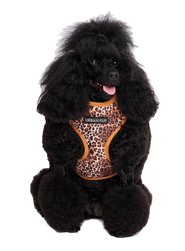 Urban Pup Cheetah Print Harness - Premium hondentuig > honden harnas from Urban Pup - Just €24.99! Shop now at Frenkiezdogshop