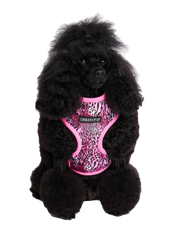 Urban Pup Pink Leopard Print Harness - Premium hondentuig > honden harnas from Urban Pup - Just €24.99! Shop now at Frenkiezdogshop