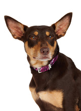 Urban Pup Halsband Pink Leopard