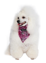 Urban Pup Pink Leopard Print Bandana - Premium Hondenkleding > bandana from Urban Pup - Just €14.99! Shop now at Frenkiezdogshop