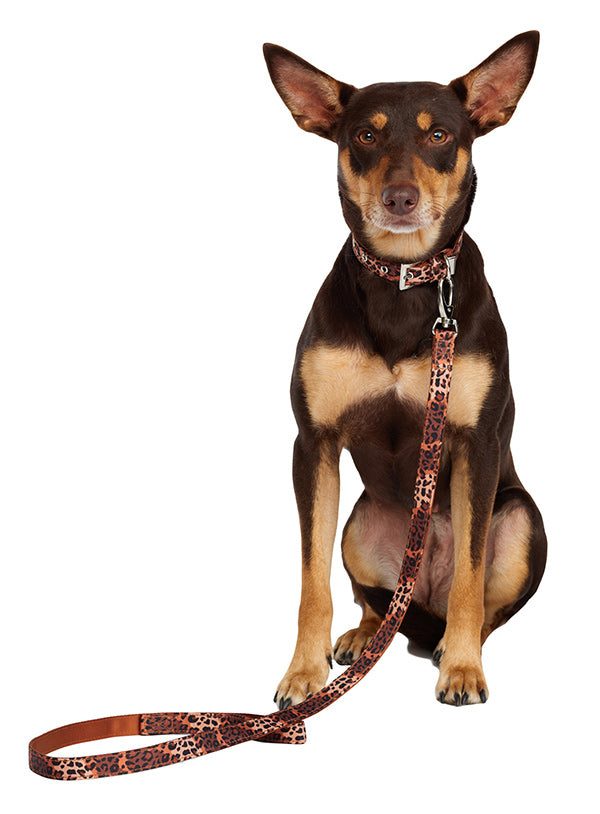 Urban Pup Cheetah Print Lead - Premium hondenriem > hondenlijn from Urban Pup - Just €12.99! Shop now at Frenkiezdogshop