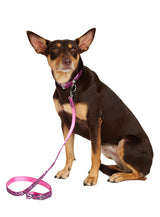 Urban Pup Pink Leopard Print Lead - Premium hondenriem > hondenlijn from Urban Pup - Just €14.99! Shop now at Frenkiezdogshop