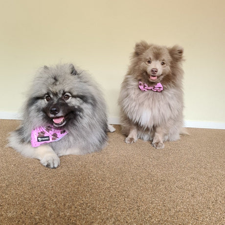 Frenkiez Christmas Bandana Pink Gingerbread Man Hondenkleding > bandana Small