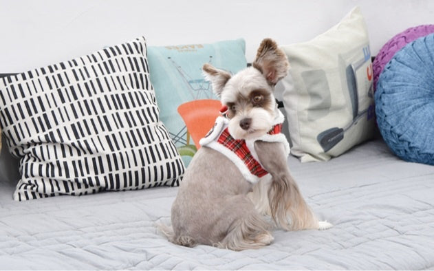 Puppia Vest Harness model B Blitzen Checkered Red - Premium hondentuig > honden harnas from Puppia - Just €29.99! Shop now at Frenkiezdogshop