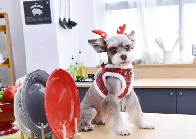 Puppia Vest Harness model B Blitzen Checkered Red - Premium hondentuig > honden harnas from Puppia - Just €29.99! Shop now at Frenkiezdogshop