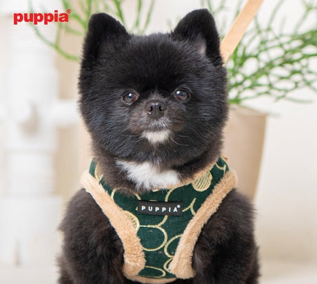 Puppia Florent Harness Model A Khaki hondentuig > honden harnas > model A Small