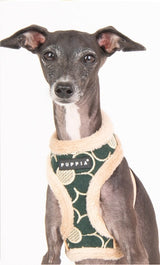 Puppia Florent Harness Model A Khaki - Premium hondentuig > honden harnas from Puppia - Just €29.99! Shop now at Frenkiezdogshop