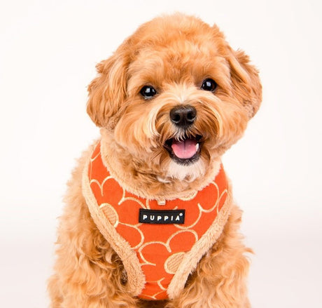 Puppia Florent Harness Model A Orange hondentuig > honden harnas > model A Small