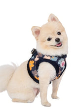 Pinkaholic Heather Vest Harness Navy - Premium hondentuig > honden harnas from Pinkaholic - Just €31.99! Shop now at Frenkiezdogshop