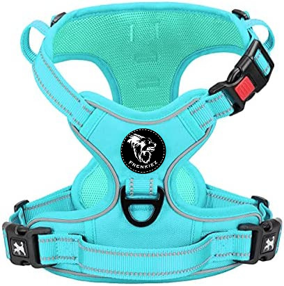 Frenkiez Y harness dogharness reflective Mint Blue matching straps