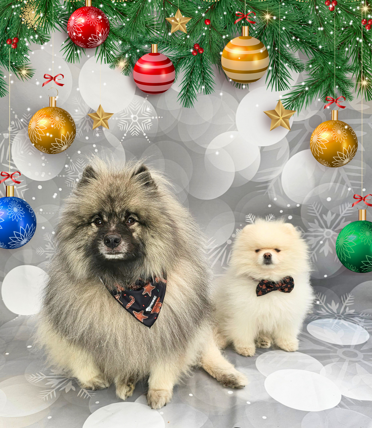 Frenkiez Christmas Bandana Dark Christmas - Premium Hondenkleding > bandana from Frenkiez - Just €9.99! Shop now at Frenkiezdogshop