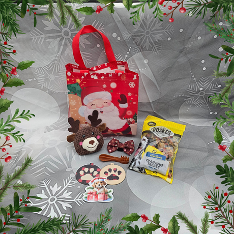 Frenkiez Christmas Giftbox Small NEW Brown edition - Premium Hondencadeau > Kerstcadeau from Frenkiez - Just €12.99! Shop now at Frenkiezdogshop