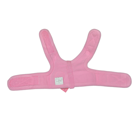 Pinkaholic Princess Pinka Harness Indian Pink second chance