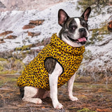 Puppia Cotton Touch Harness Pullover Mint