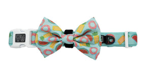 Big and Little Dogs Halsband A Splashing Good Time ( XSMALL ) halsband > hondenhalsband X - Small