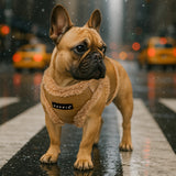 Puppia Winterstride Vest Harness B Beige